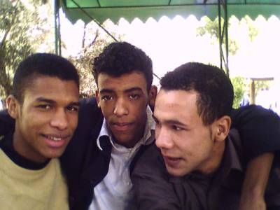 baygo +lhbib+reda